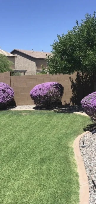 Rooted in Excellence-img