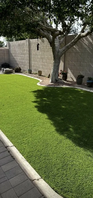 Rooted in Excellence-img