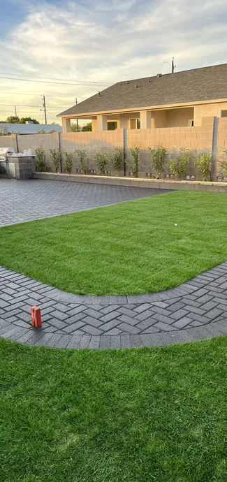 Rooted in Excellence-img