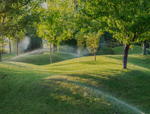 Montoya's Landscaping LLC